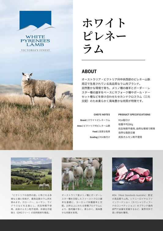 WHITE PYRENEES LAMB