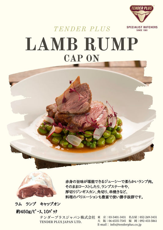 Tender Plus ラム ランプ